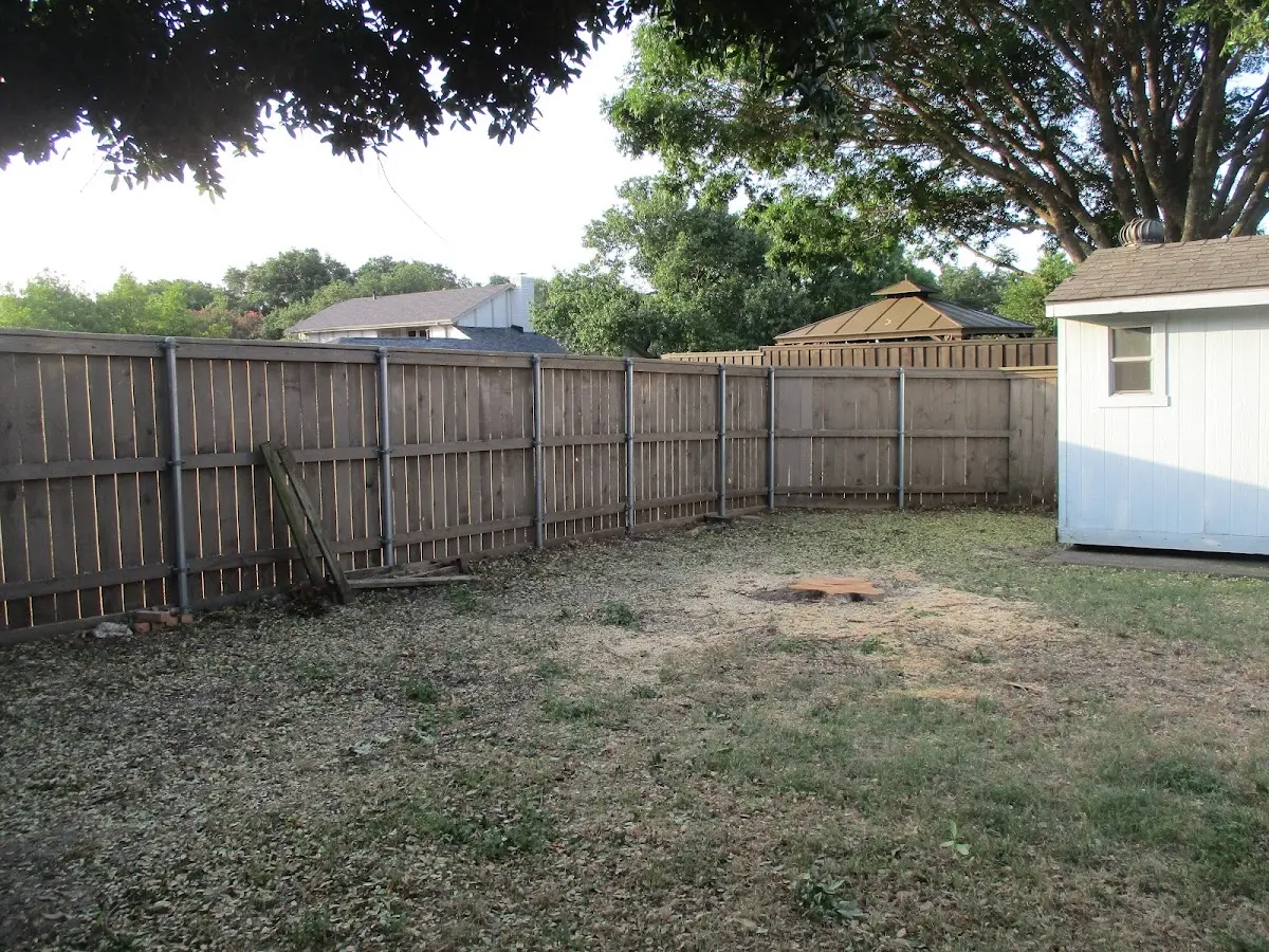 Cleared yard after professional tree removal in Miami Beach